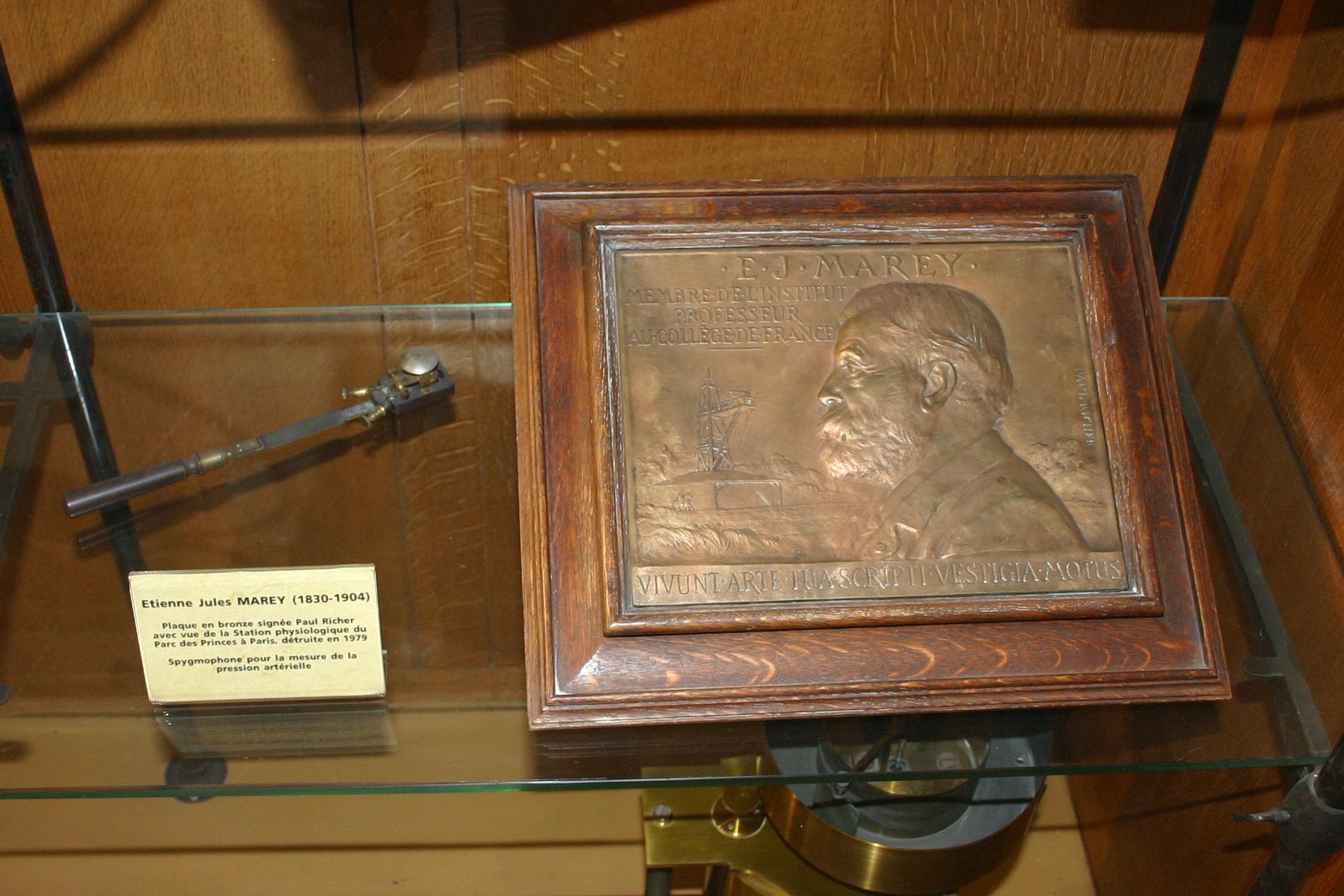 Etienne-Jules Marey's instruments and memories,Musée d'Histoire de la Médecine, Paris (2).JPG